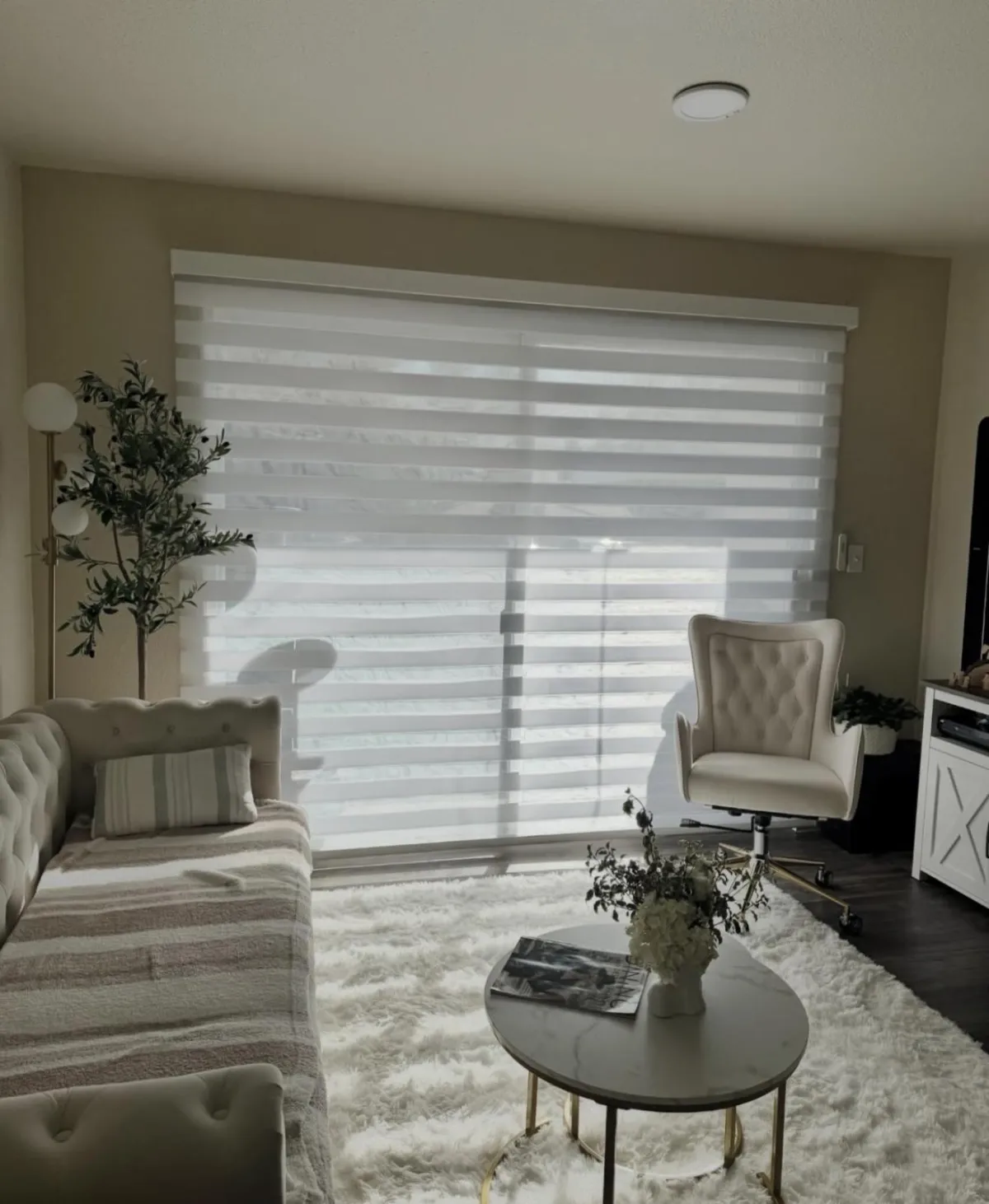 Zebra Blinds - Premium Light Control Window Treatments